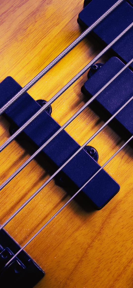 bass guitar, guitar, strings, music, macro