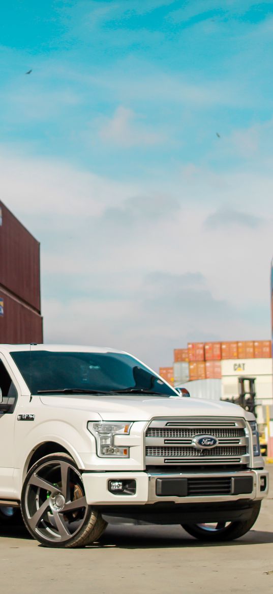 ford f150, ford, car, suv, white, front view