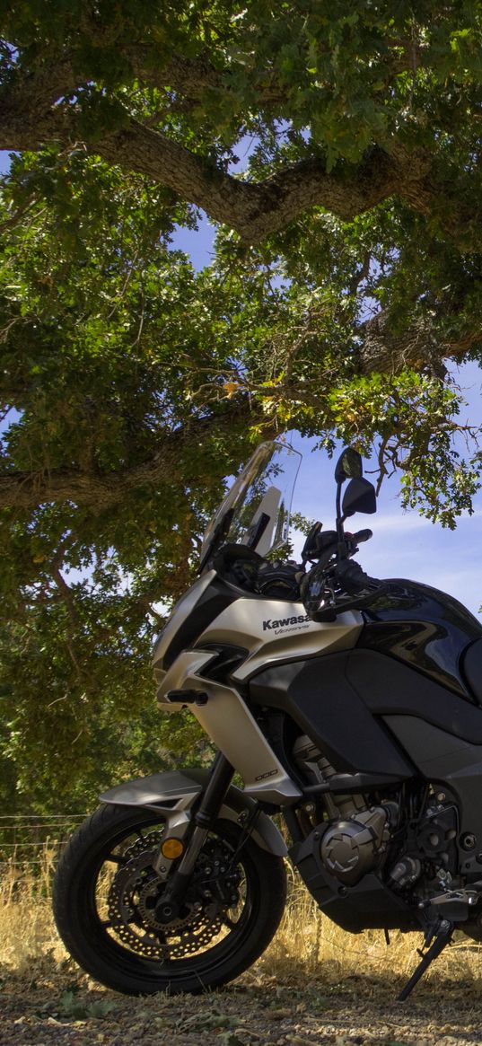 kawasaki, motorcycle, bike, black, tree