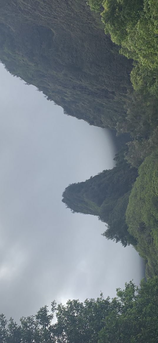 hawaii, nature, fog