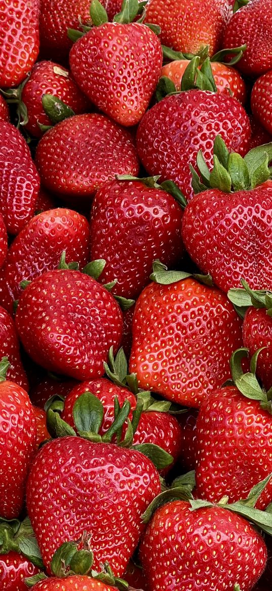 strawberries, berries, leaves, red