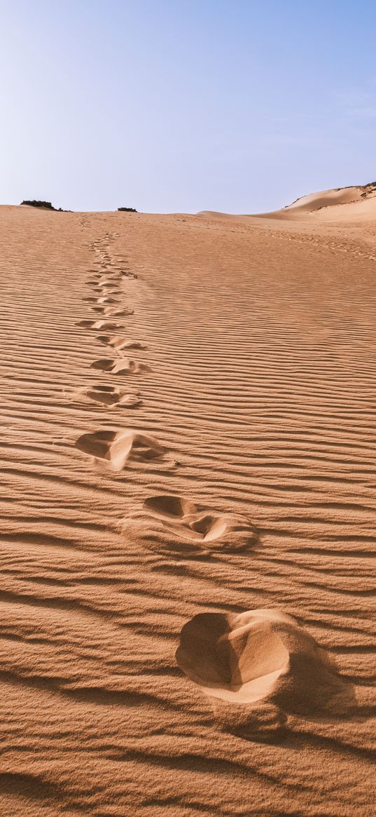 desert, sahara, landscape, sand