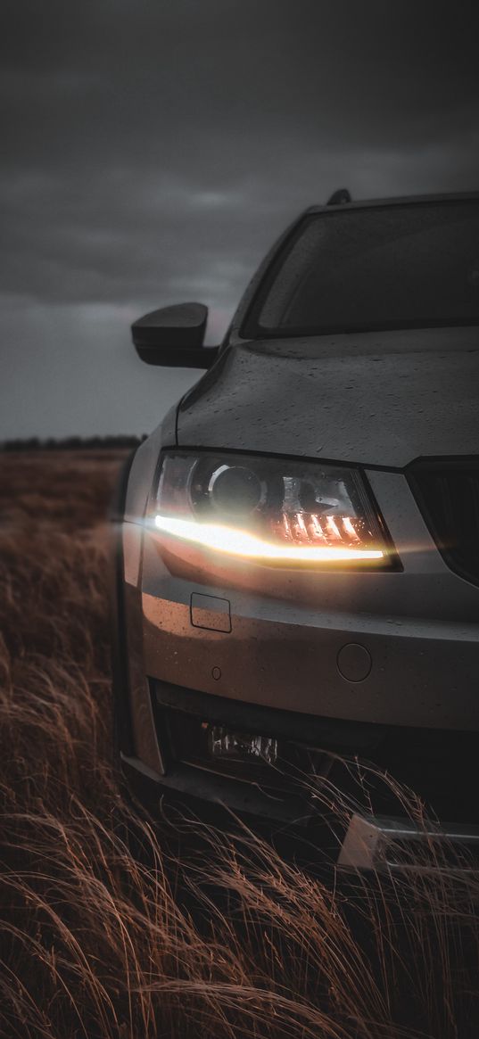 car, skoda, field, dusk