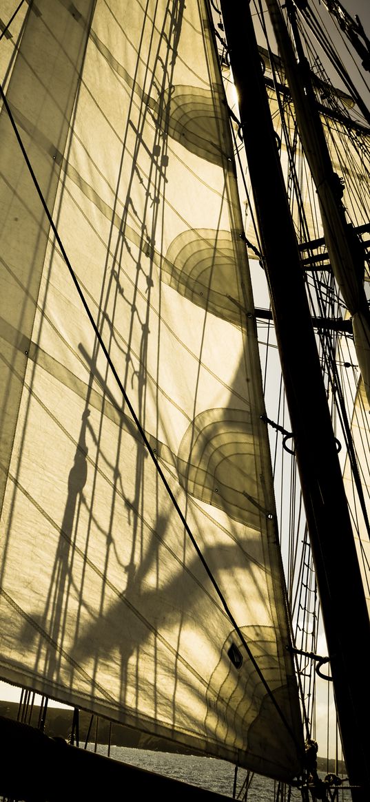 sail, mast, sea, sunlight