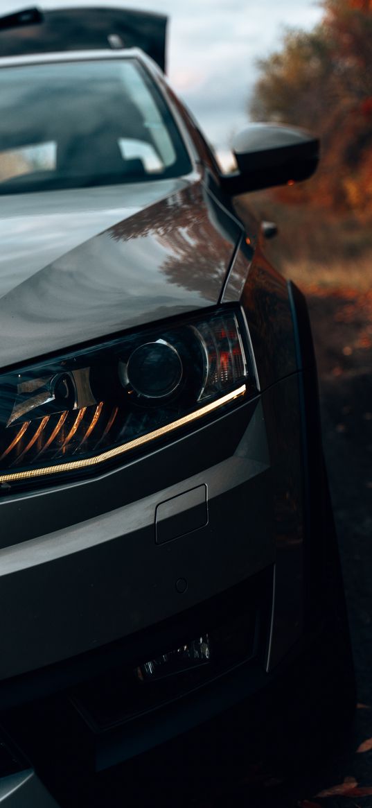 skoda octavia, skoda, car, headlight, road, trees, autumn