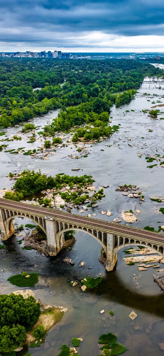 bridges, river, forest, trees, city