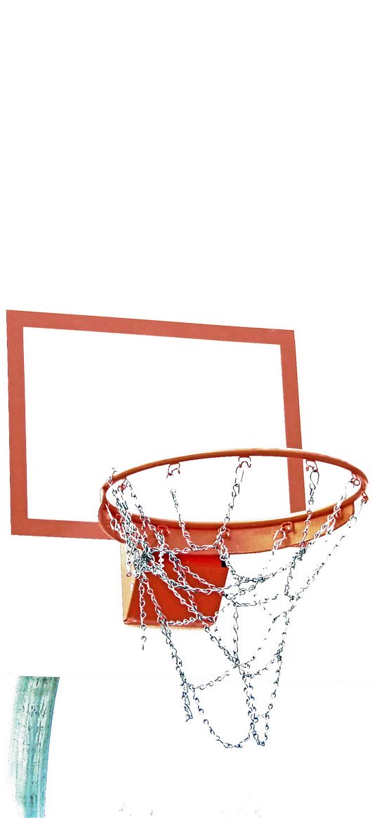 basketball hoop, basketball, sport, white