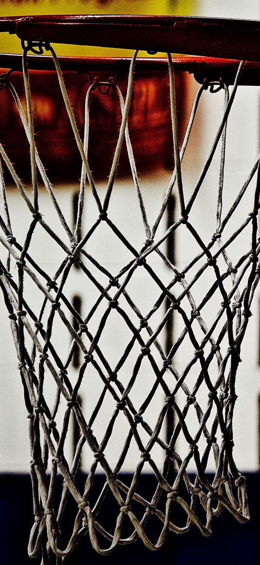 basketball hoop, net, basketball, blur, sport