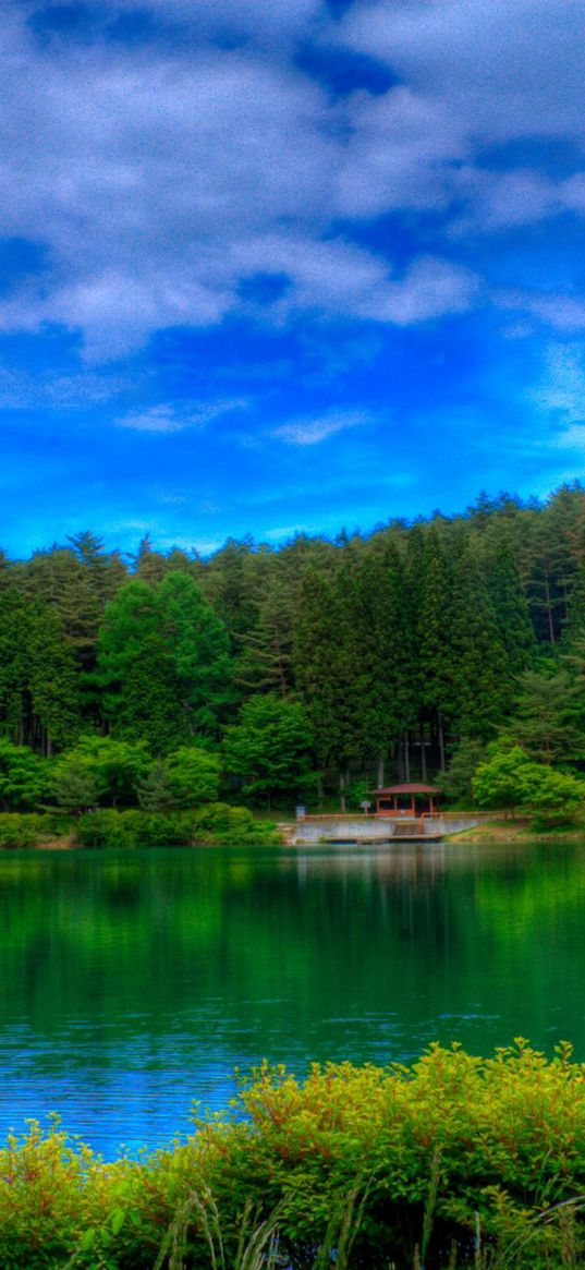 lake, picturesque, colors, green