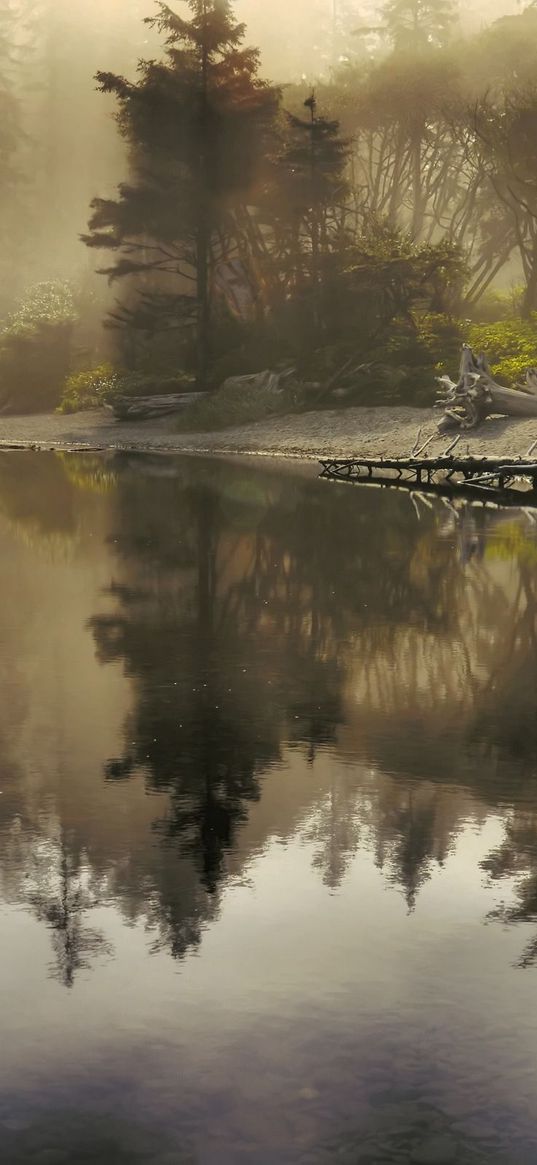 lake, morning, sunlight, beams, fog