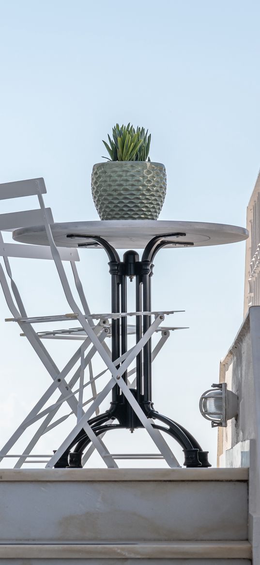 table, chairs, pot, plant, white