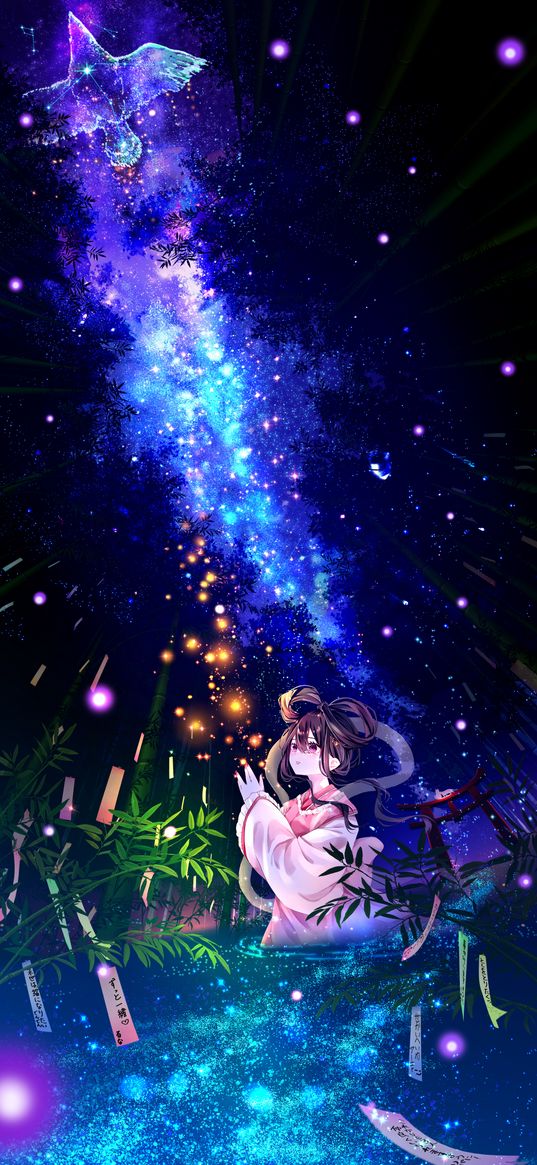 girl, river, talismans, bird, constellation, starry sky, bamboo, forest, night, anime, art