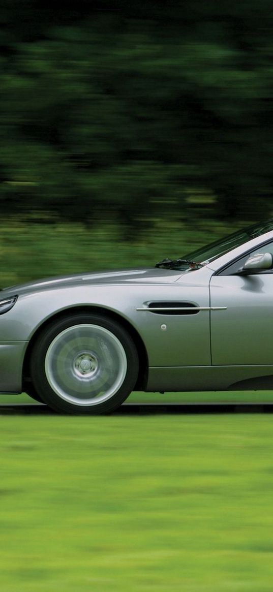 aston martin, v12, vanquish, 2001, gray, side view, style, nature