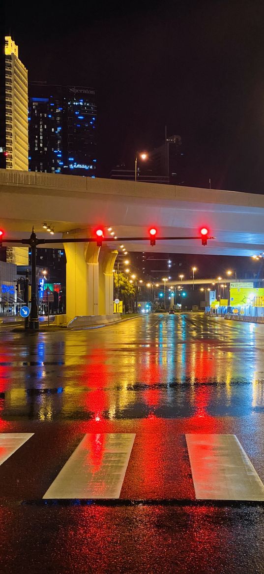 road, bridge, traffic light, lights, pedestrian crossing, asphalt, wet, city, night