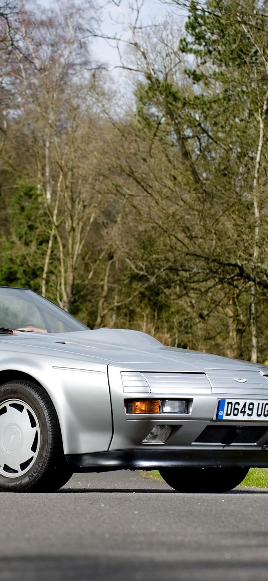 aston martin, v8, volante, zagato, 1988, silver, side view, retro, auto