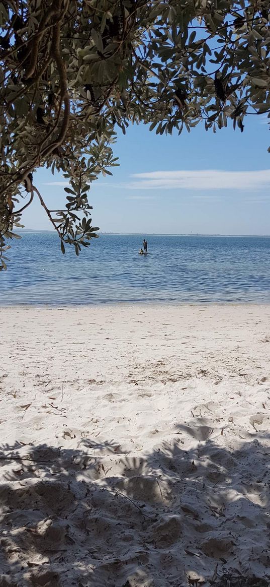 ocean, paddle board, australia, straya, beach