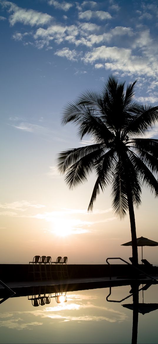 chairs, swimming pool, palm trees, silhouettes, dark