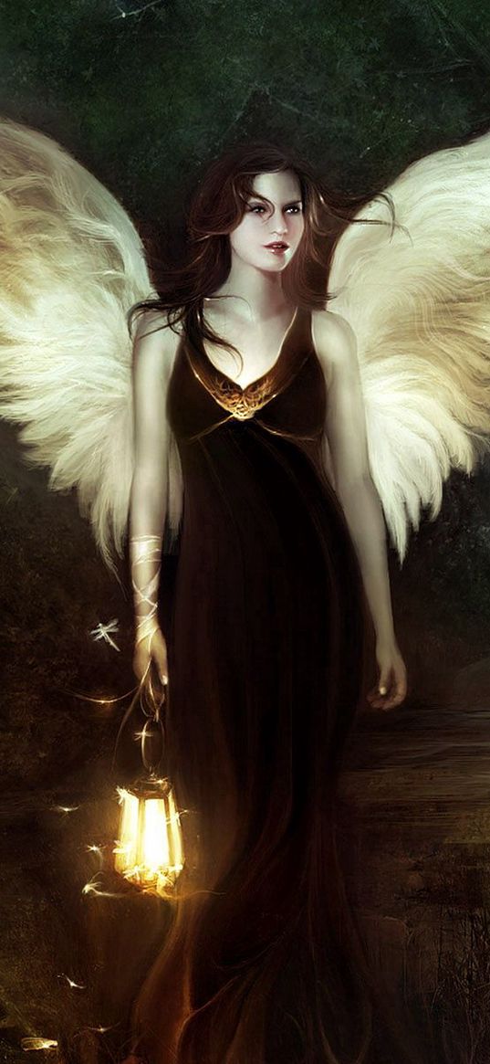 girl, angel, wood, lantern, night