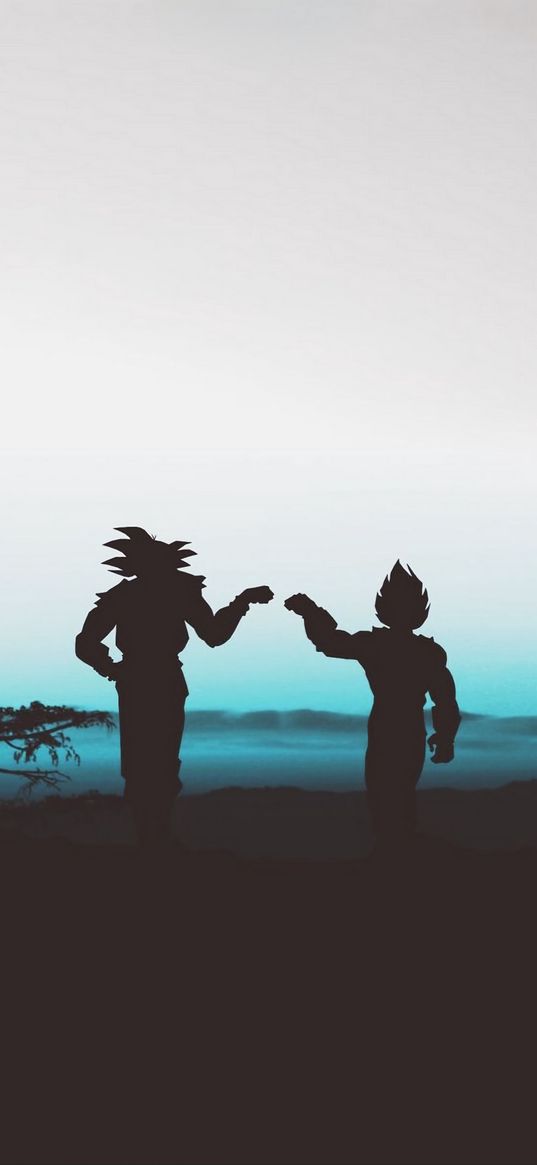 goku, vegeta, dragon ball, anime, guys, friends, silhouette, art