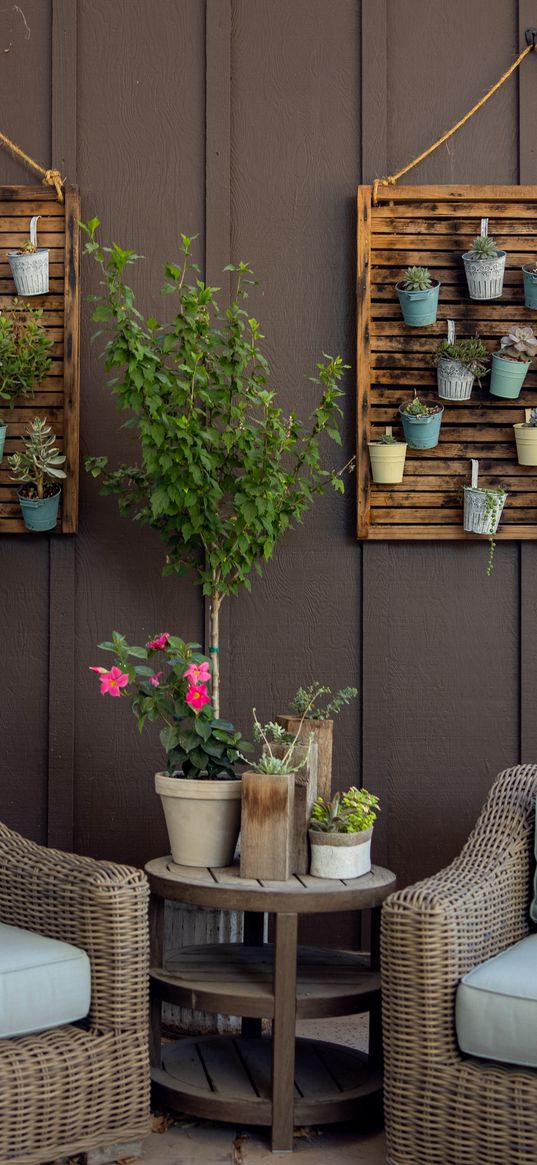 chairs, table, flowers, pots, interior