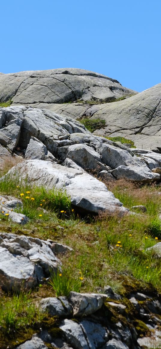 stones, cranny, grass, relief