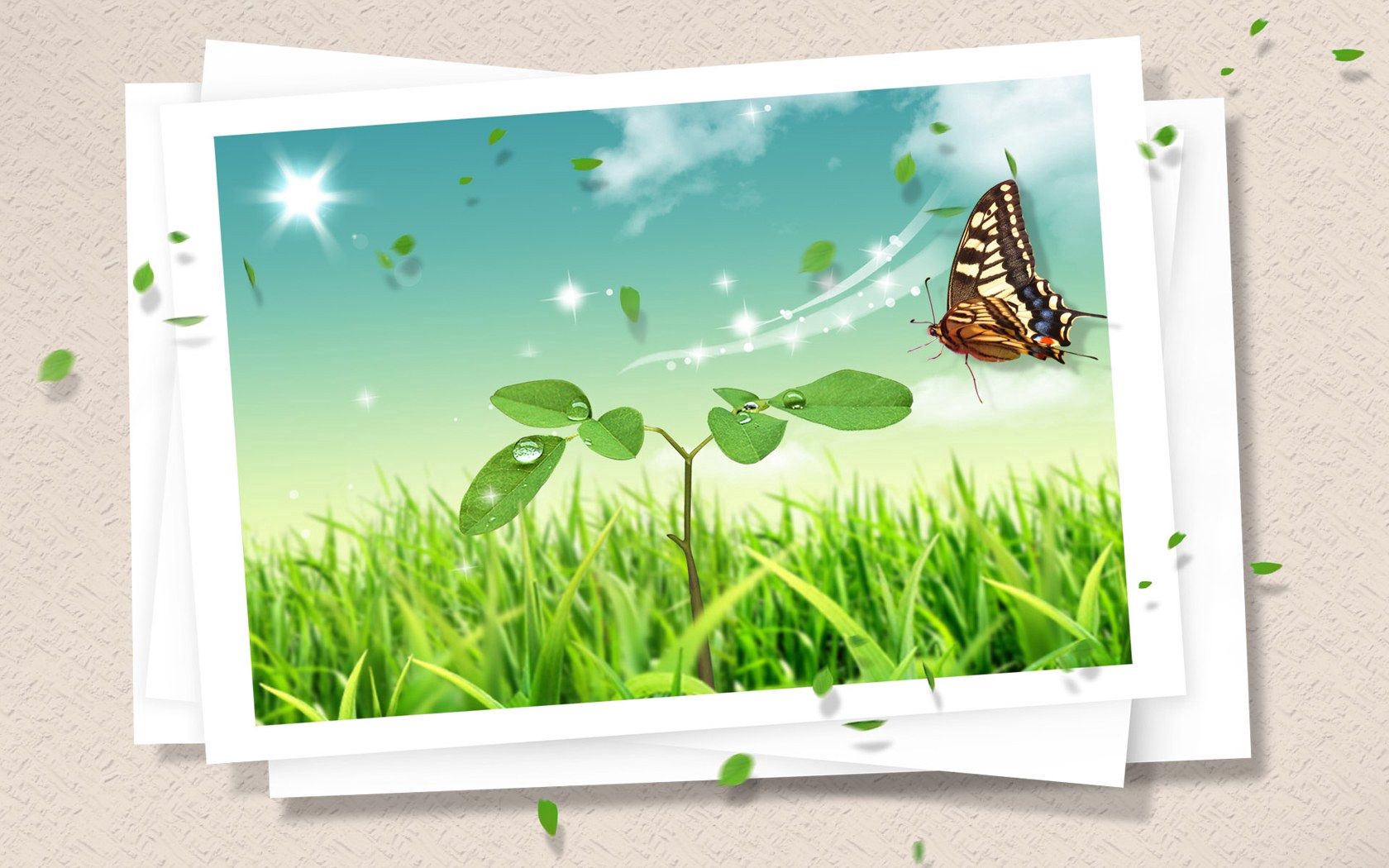 photography, butterfly, clipart, design