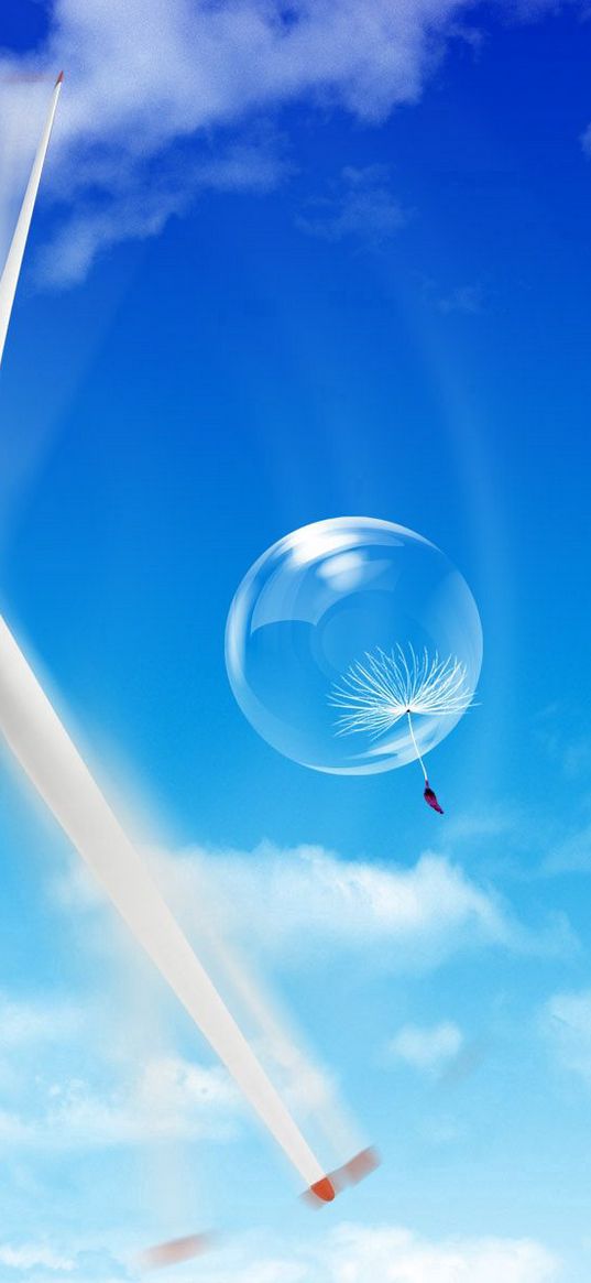 parachute, dandelion, sky, blow