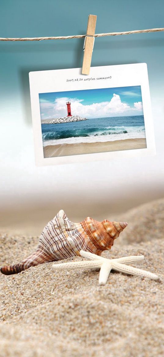 photography, beach, shells, 3d