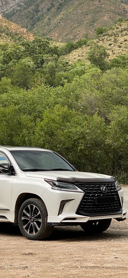 lexus lx 570, lexus, car, suv, white