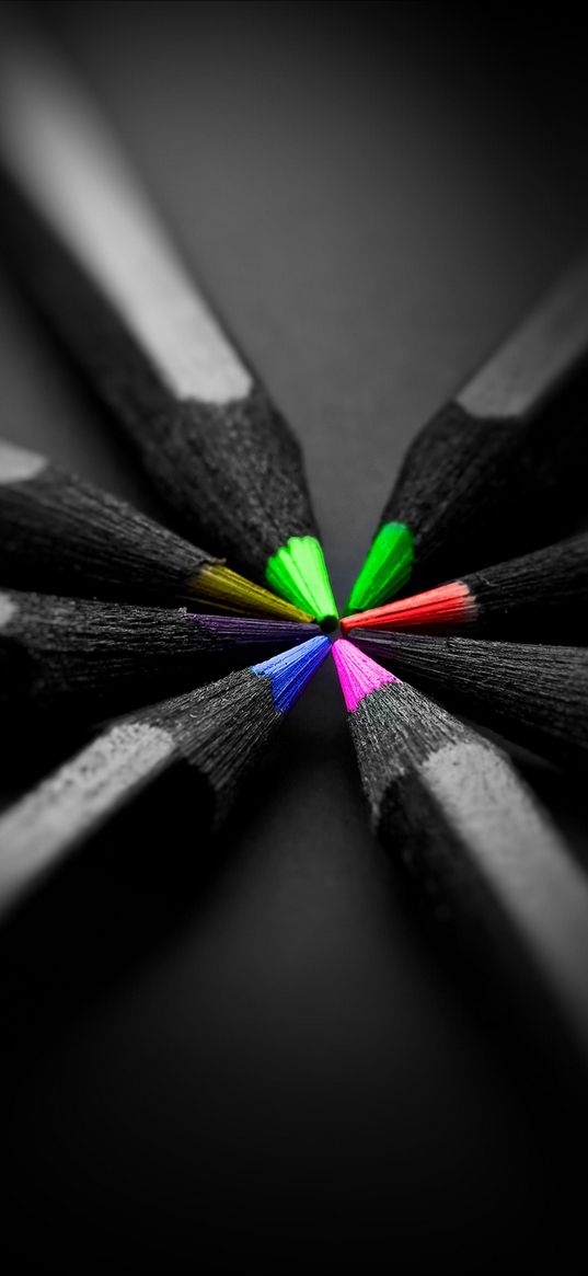 pencils, colors, multicolored, bright, black and white