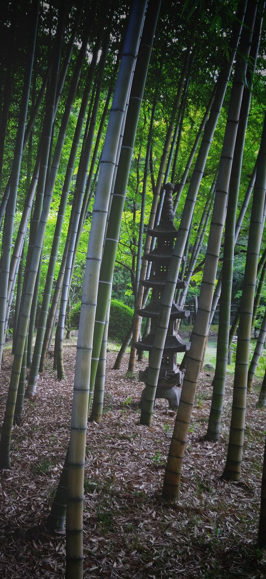 bamboo, trees, pagoda, nature