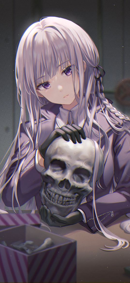 kirigiri kyouko, danganronpa, anime, girl, art, skull, box