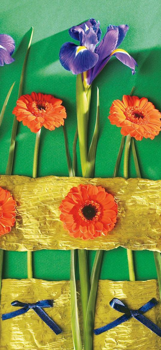 irises, gerbera, flower, wall, decoration, bows