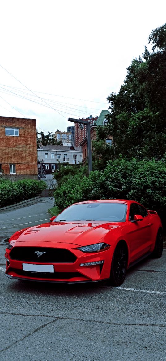 ford mustang, ford, car, orange, road