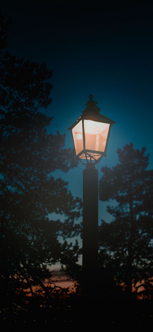 lantern, light, trees, twilight, sunset