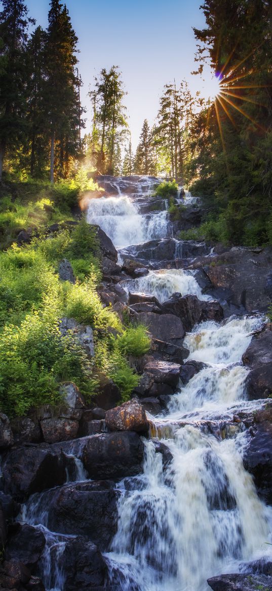 waterfall, cascades, stones, trees