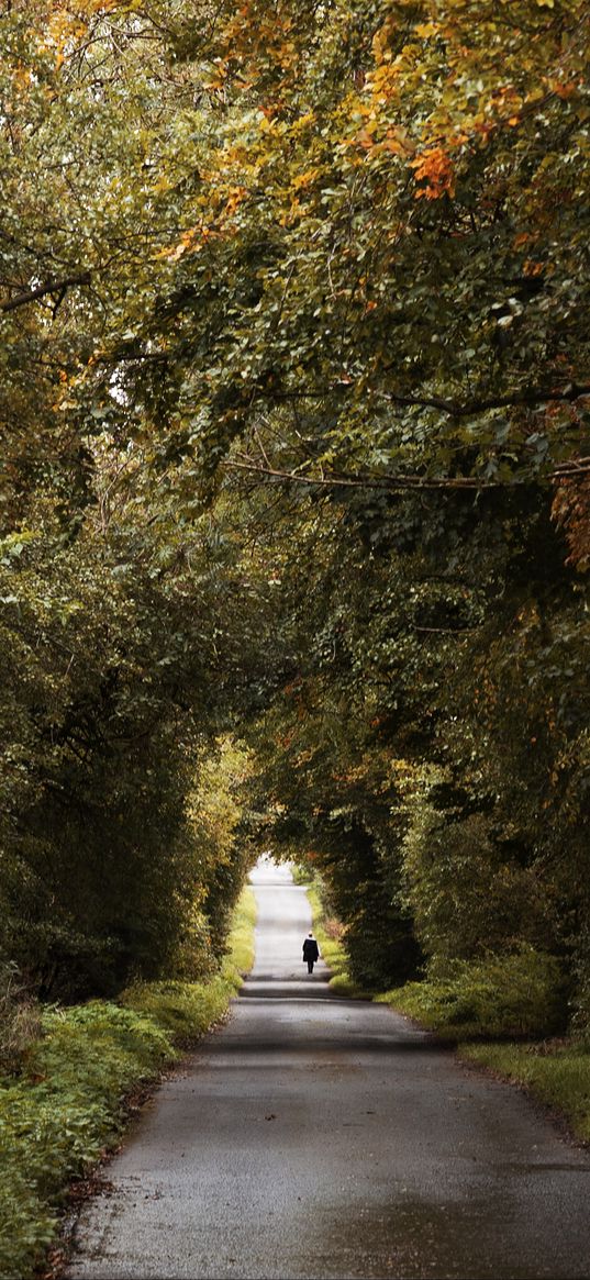 road, trees, people, silhouette, alley