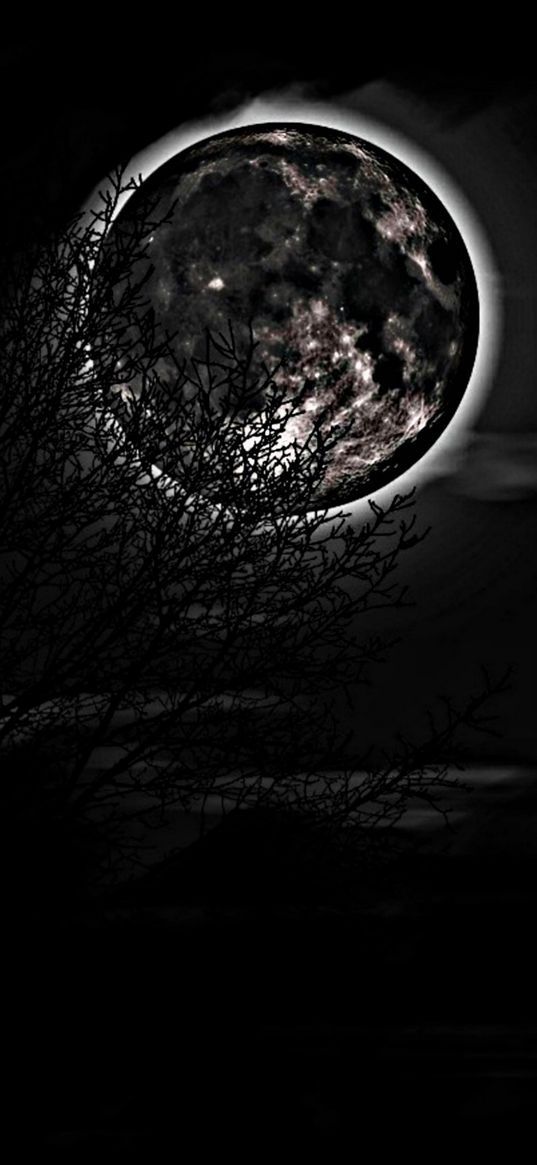 branches, tree, moon, eclipse, glow, night, black and white, nature