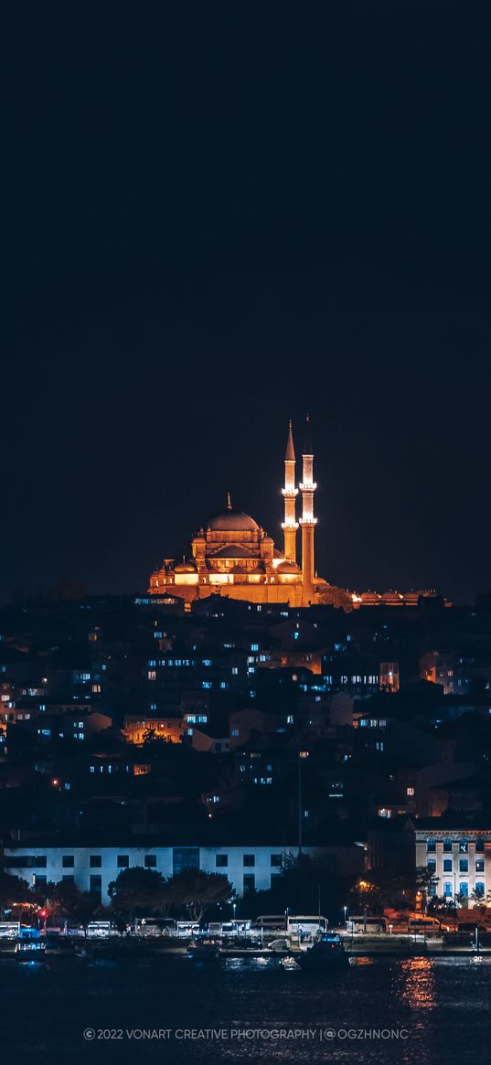 mosque, sea, pier, houses, street, city, night, turkey