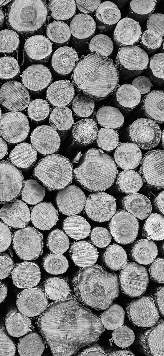 logs, tree, black and white