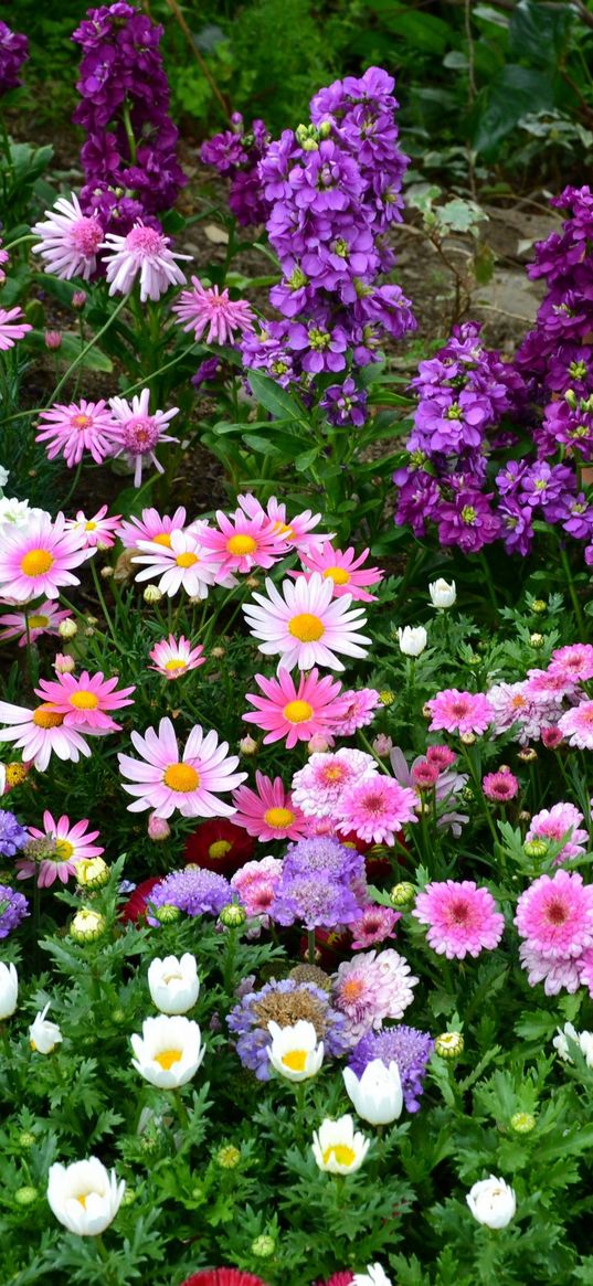 flowers, flowerbed, different, much, greens, vase, garden