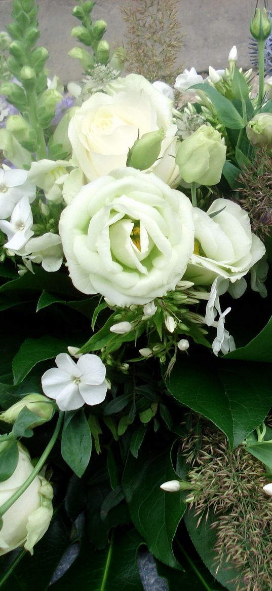 roses, flowers, white, flower, decoration, green, beauty