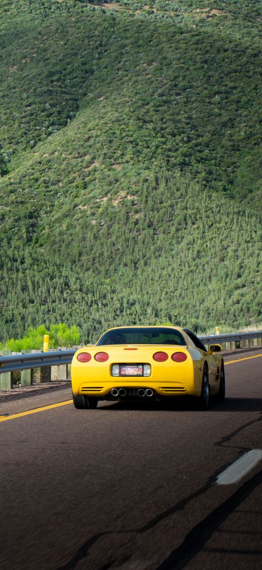 chevrolet corvette, chevrolet, car, yellow, back view