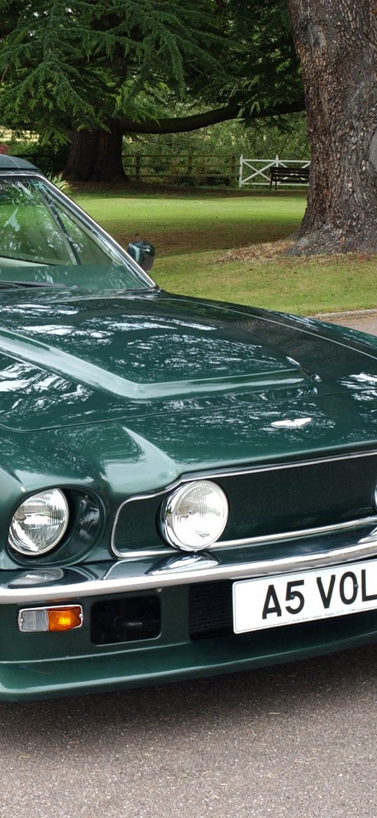 aston martin, v8, vantage, 1984, green, front view, auto