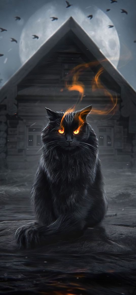 cat, burning eyes, house, village, moon, birds, night, art