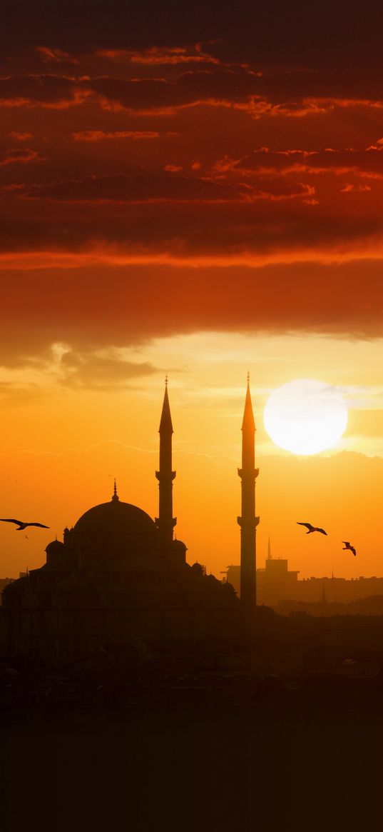 mosque, city, birds, sun, sunset, evening, clouds, sky, orange, islam, religion