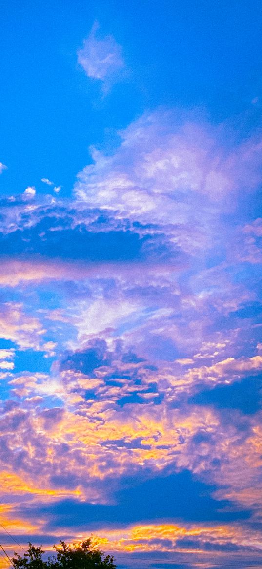 tree, pole, wires, clouds, sky, sunset, evening, bright, nature