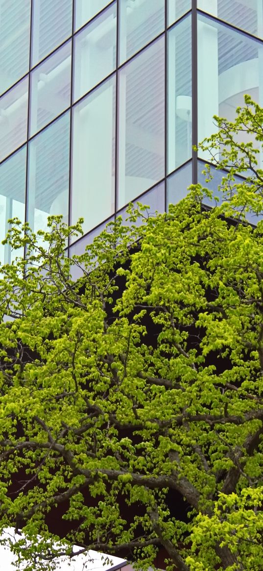 wood, building, glass, architecture, contemporary