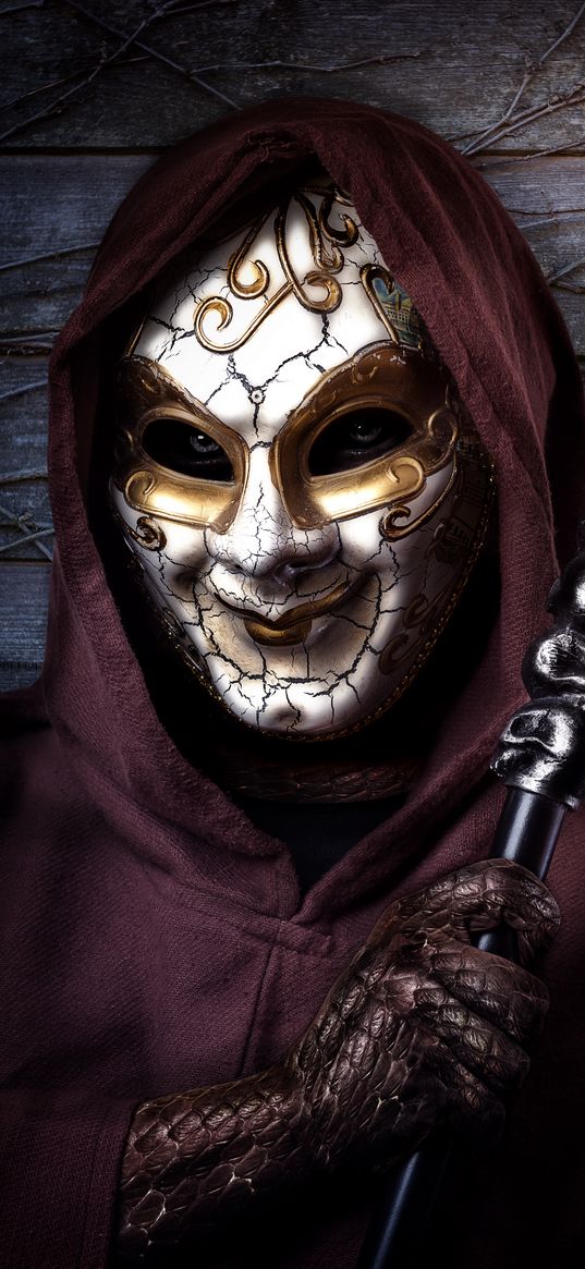 man, mask, hood, cane, outfit