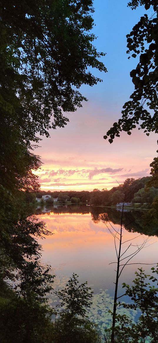 sunset, forest, lake, sunset on the water, water lilies, colorful sky